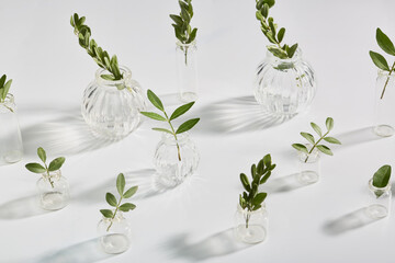 minimalistic natural composition. small vases on a white background