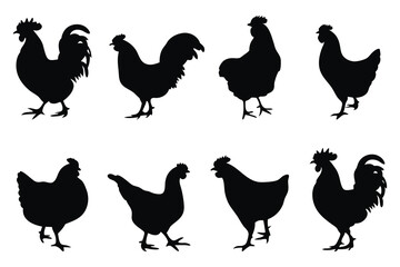 Hen, chicken silhouettes set isolated flat vector illustration on white background.