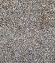 A rocky surface at the beach. A lot of different sizes and colors of small rocks, creating a visually beautiful textured background