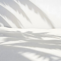 Obraz premium Palm Tree Shadows on White Sand Dune
