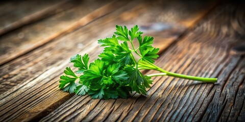 Fototapeta premium Fresh parsley's simple elegance shines against weathered wood.