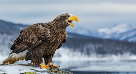 Majestic eagle perched on snowy rock, mountains in background