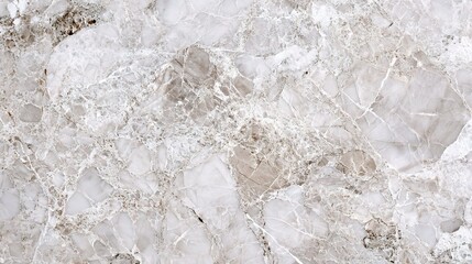 Elegant White Marble Flooring Texture for Interior Decoration Ideas