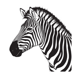 Zebra line art vector art vector