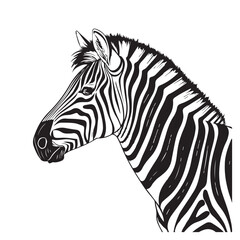 Zebra line art vector art vector