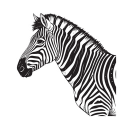 Zebra line art vector art vector