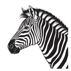 Zebra line art vector art vector
