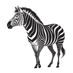 Fototapeta premium Zebra line art vector art vector
