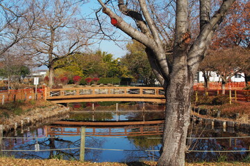 Obraz premium 冬の公園風景