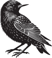 Black silhouette bird