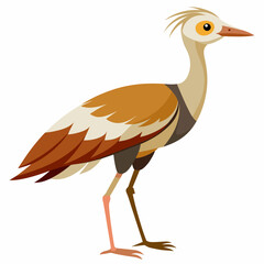 illustration of a bird