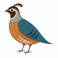 illustration of a bird