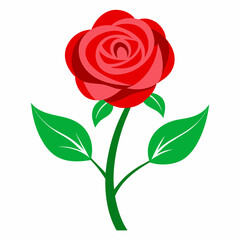 Obraz premium red rose isolated on white