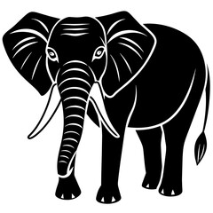 elephant cartoon illustration