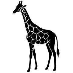 giraffe illustration