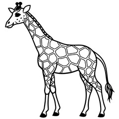 giraffe illustration