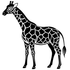 giraffe illustration