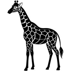 giraffe illustration