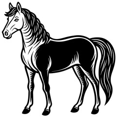 horse vector illustration