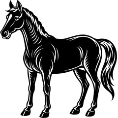 horse vector illustration