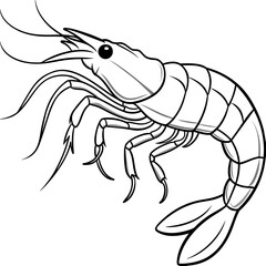 illustration of cartoon shrimp