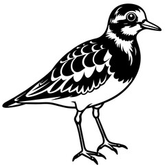 illustration of a bird