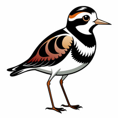 illustration of a bird