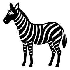 zebra vector illustration