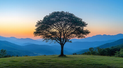 Obraz premium A lone tree silhouette stands against a calm and clear evening sky symbolizing solitude, resilience, and the beauty of nature's quiet moments