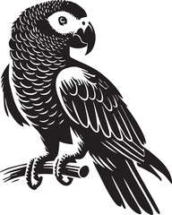 Black and white parrot silhouette © MstSumi
