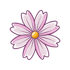 cosmos flower icon design