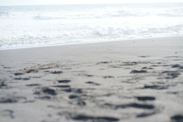 beautiful sea and sandy beach on sunny day