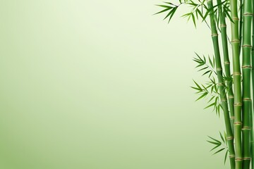 there is a tall bamboo plant with green leaves on a green background