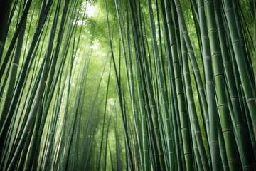 Fototapeta premium arafed bamboo trees in a forest with a green sky