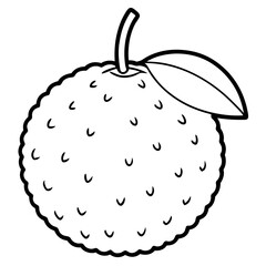 Lychee line art vector