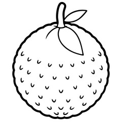 Lychee line art vector