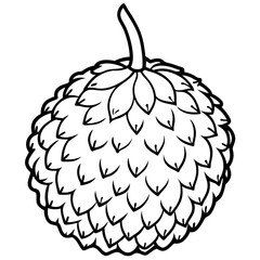 Lychee line art vector
