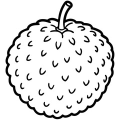 Lychee line art vector