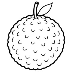 Lychee line art vector