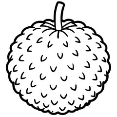Lychee line art vector