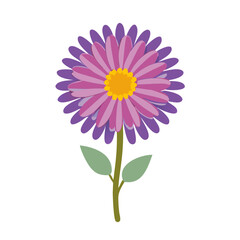 aster flower icon design