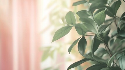 Obraz premium Softly Blurred Green Leaves on a Gentle Background in Nature