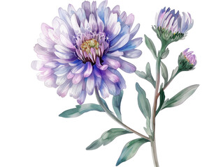 Obraz premium Delicate Watercolor Flower Arrangement with Purple and White Petals on a Transparent Background