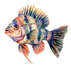 Colorful Artistic Illustration of a Cichlid Fish Swimming in a Lively Aquatic Environment