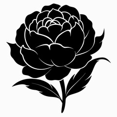 Peony Perfection black silhouette vector