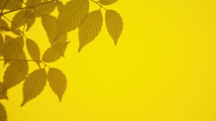 Sunlit Foliage Silhouettes Against a Vibrant Yellow Background, Ideal for Design Projects Requiring a Natural and Cheerful Aesthetic