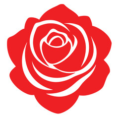 The ideal rose looks wonderful.