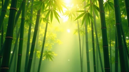 Fototapeta premium Serene Bamboo Forest at Sunrise A Tranquil View of Lush Green Stalks Bathed in Golden Sunlight, Creating a Peaceful and Harmonious Atmosphere