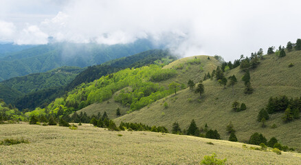 Obraz premium 爽やかな夏の高原