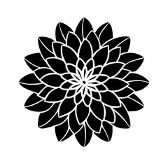 dahlia flower icon design